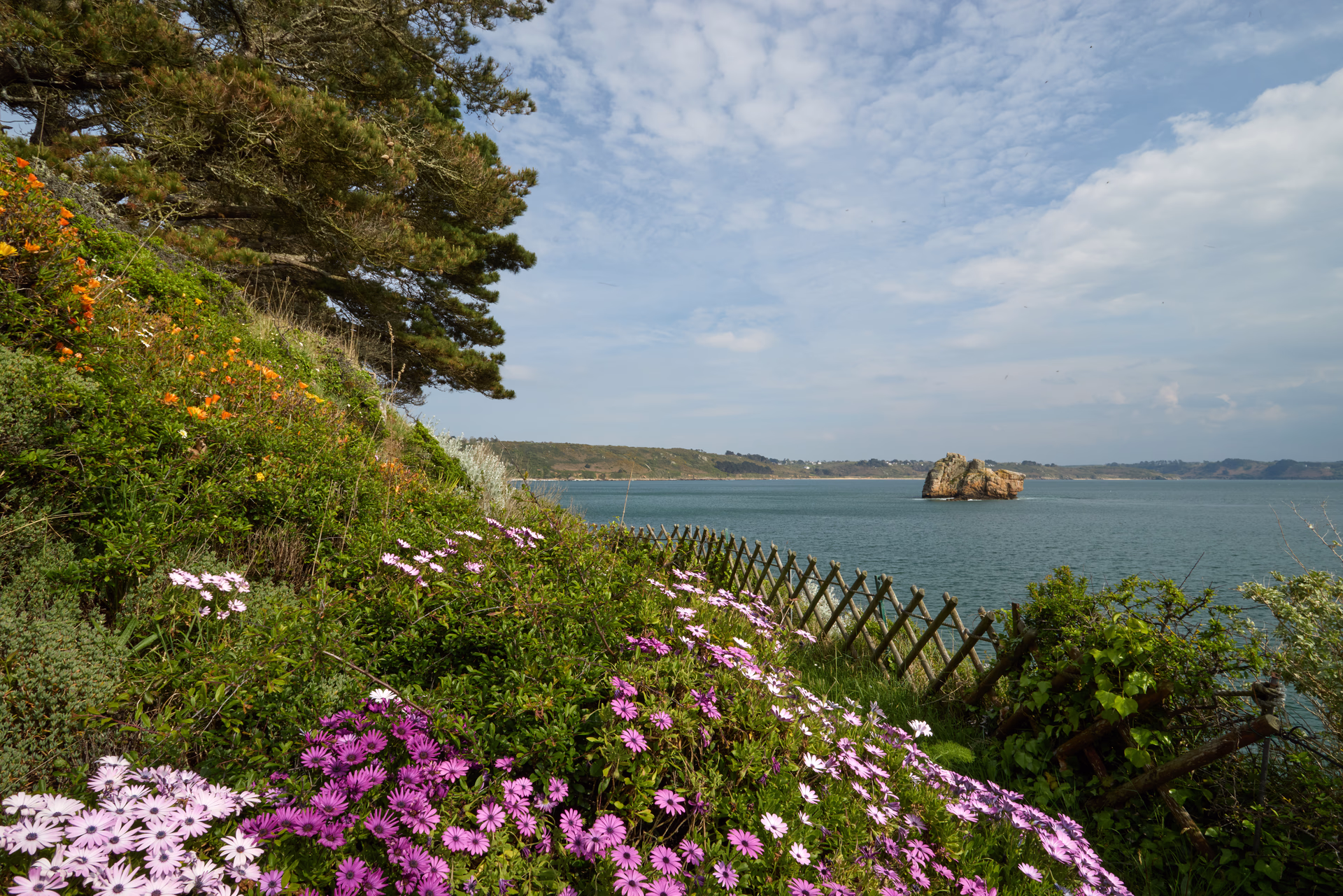 Paysages