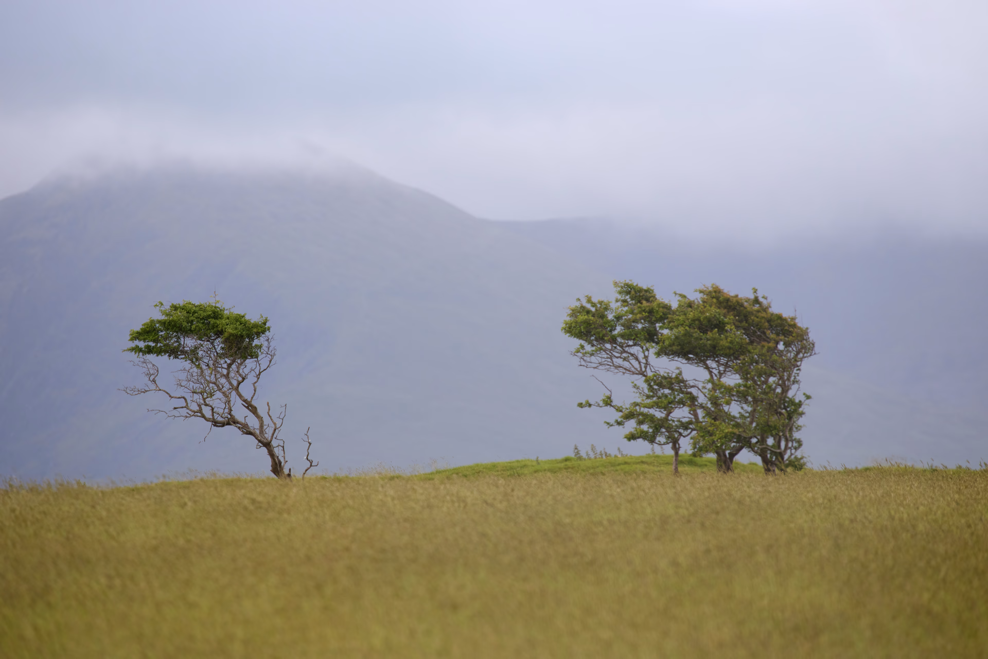 Paysages