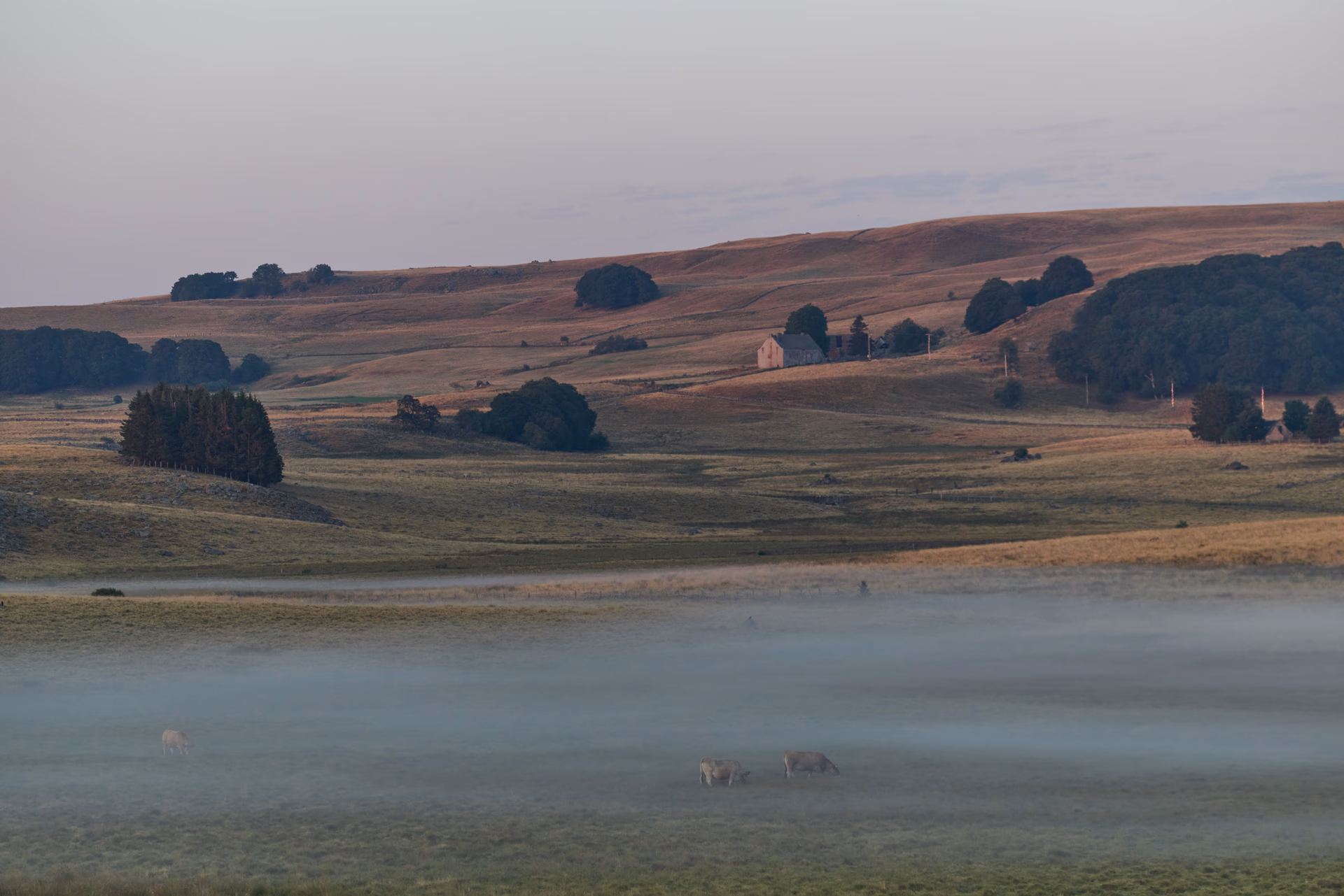Paysages